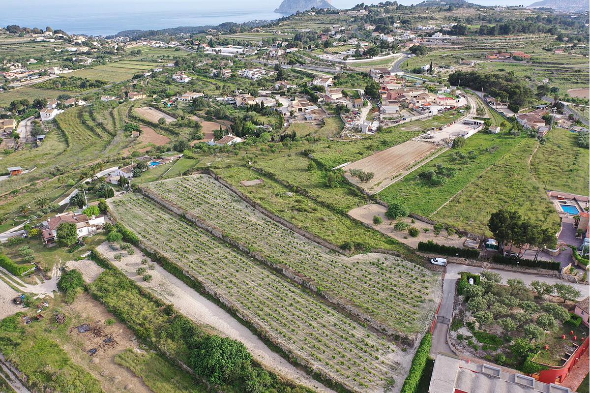 For Sale. Finca in Moraira